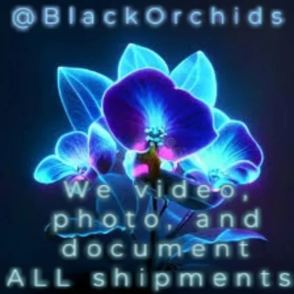 31-CIP NINE WEST FLORAL BLACK TOTE BAG PURSE - Picture 9 of 10